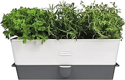 Cole & Mason Burwell – 3 pots auto-arrosants