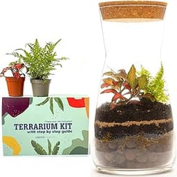Kit Terrarium fermé en Verre