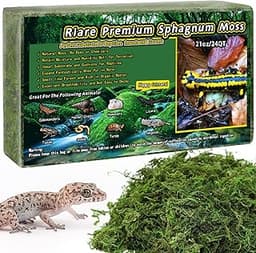 Mousse de sphaigne naturelle