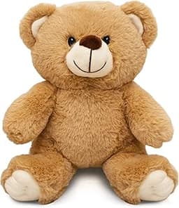 Ours en Peluche avec Carte Postale