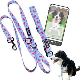 Collier NFC GoodBoyRoger