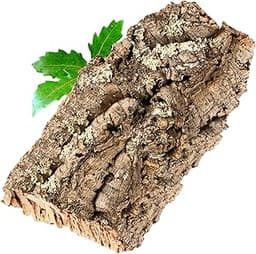 Plaque d’écorce de liège 30 x 15 cm