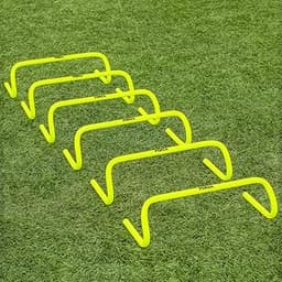 FORZA Haies de Vitesse