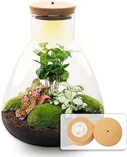 Kit terrarium autonome
