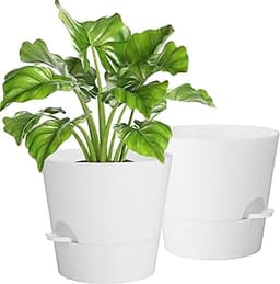 Idealife Pots auto-arrosants