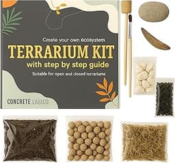Kit terrarium succulentes