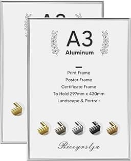 Rieeyrslza Lot de 2 cadres A3 alu