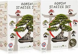 Kits de 6 Bonsaïs VEGETALIUS