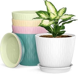 Lot de 5 Pots Irrigation