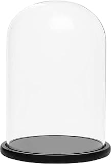 BELLE VOUS Cloche en verre 30 cm, socle bois noir