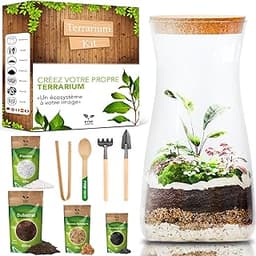 Kit Terrarium DIY