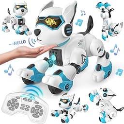 Dreamon Chien Robot