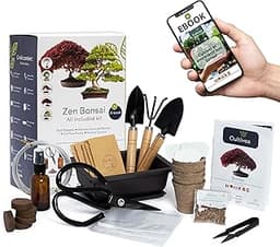 Kit Bonsaï Premium Cultivea