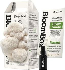Kit de culture de champignons NuBlume