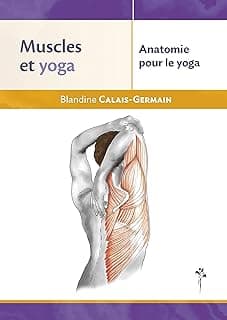 Muscles et yoga
