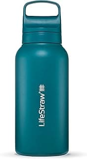 LifeStraw Go gourde inox