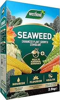 Westland Stimulant aux algues