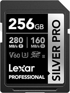 Lexar SILVER PRO SD 256 Go