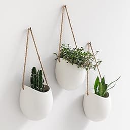 Kazai. Pots de Fleurs Muraux -Ellie-