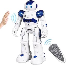 Robot Gestuel ANTAPRCIS