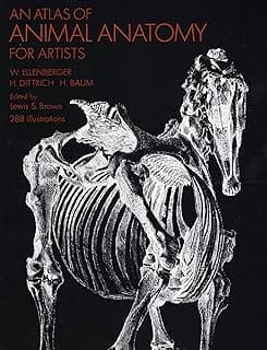 Atlas d’anatomie animale pour artistes