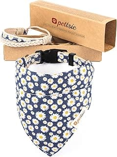 Collier bandana Pettsie + bracelet assorti