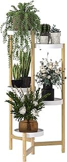 unho Porte Plante en Bambou