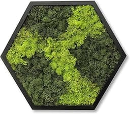 Tableau de Décoration Murale Hexagonale avec Mousse Véritable