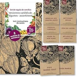 Kit graines légumes rares