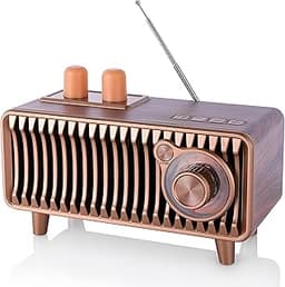 CYBORIS Radio Bluetooth Rétro en Bois de Noyer