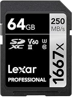 Lexar Professional 1667x Carte SD 64 Go