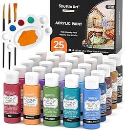 Lot de 25 Peintures Acryliques Vintage