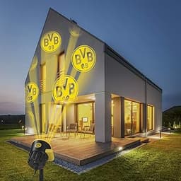 Projecteur de logo BVB