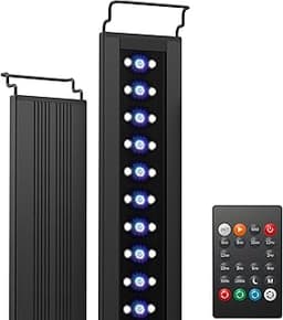 Rampe LED Nicrew C10