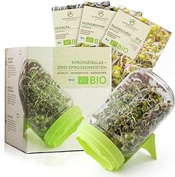 Lot de 3 pots à germer en verre bio