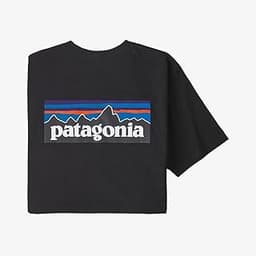 T-shirt Patagonia Responsibili-Tee