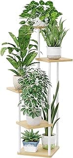 Bamworld Support Plantes Intérieur À 5 Niveaux