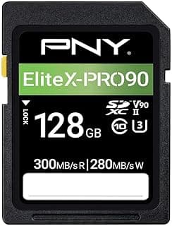 PNY Carte Mémoire SD 128GB X-Pro 90