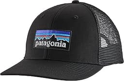 Patagonia P-6 Trucker