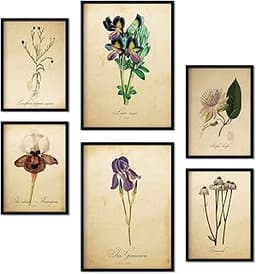 Nacnic Ensemble de 6 affiches de fleurs vintage