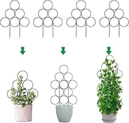 Lot de 4 Petits Treillis d'intérieur