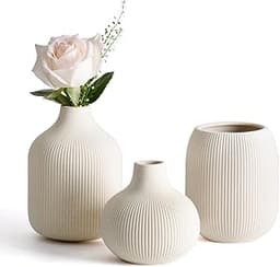 Dnnnii Lot de 3 vases Modernes en céramique