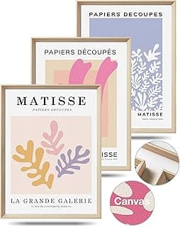 Triptyque Matisse encadré
