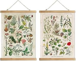 XIAOAIKA Affiches botaniques x2