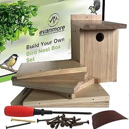 Kit nichoir en bois