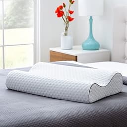 Oreiller Linenspa
