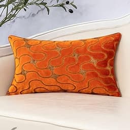 Housse de Coussin en Velours