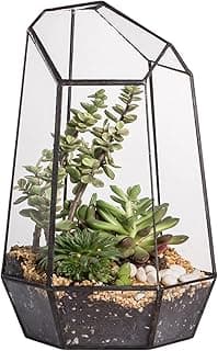 Terrarium Géométrique