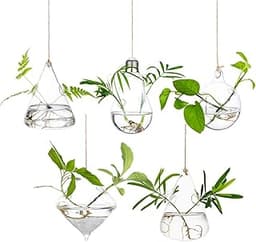 Jardinières suspendues Glasseam