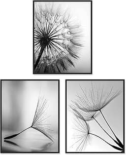 Lot de 3 impressions d'art mural noir et blanc